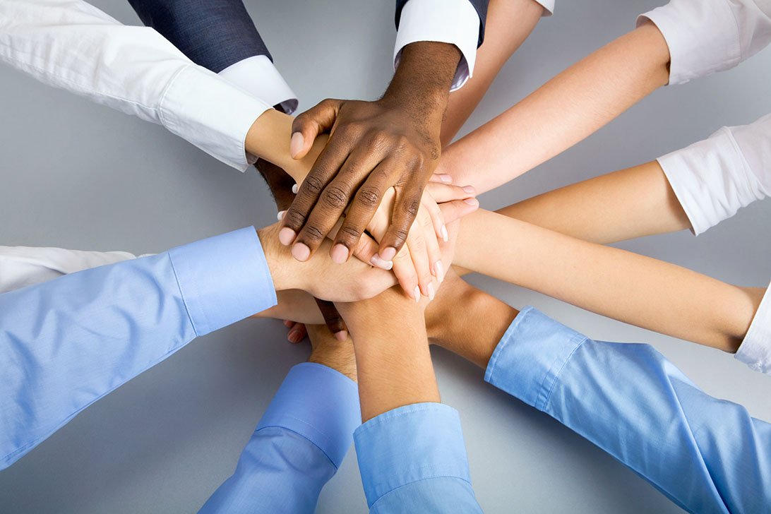 Our Team
